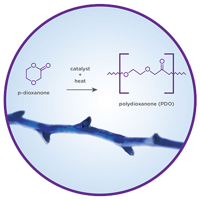 PDO Suture Illustration